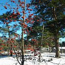 ���� Alexandr, ������, 75 ��� - ��������� 22 ������� 2015 � ������ ���� ����������