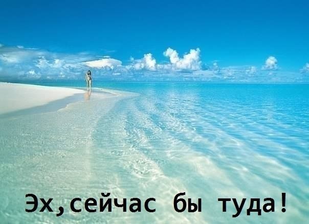   |  |  - 16  2016  16:40