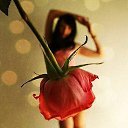  , , 37  -  3  2015   ....)