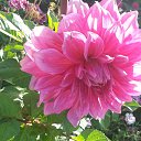 ����� �� ���� �� ������� ���� ����������