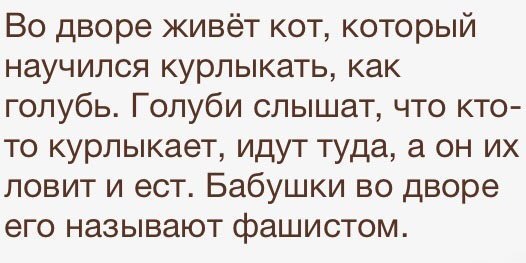       - 27  2015  17:02