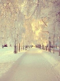 Вопреки видимости, именно зима – пора надежды. © Жильбер Сесброн - 6