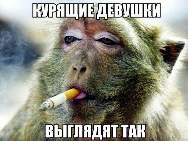   - 10  2016  23:40