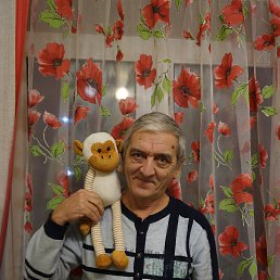 ����, �������, 72 ����