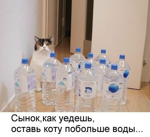       - 6  2015  19:04