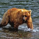 ���� ���������, ������, 39 ��� - ��������� 24 ������� 2015 � ������ ���� ����������