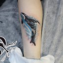 ���� R0ulett, ������, 37 ��� - ��������� 22 ������� 2016 � ������ ���� �������