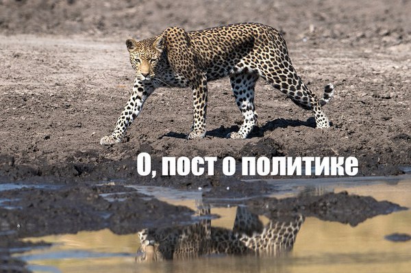  - 23  2016  14:46