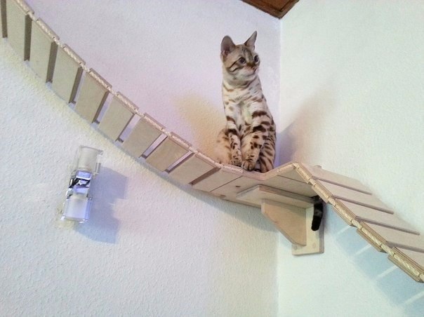    .#@https://fotostrana.ru/away?to=/sl/XE2 - 7