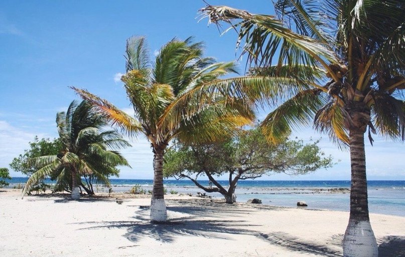 ��������� �� �� ����� �� ���� ������ ������! - 3