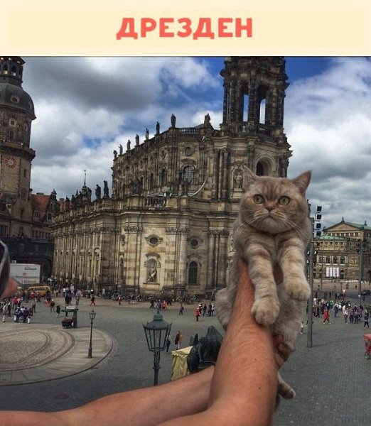 Немного о жизни путешествующей кошечки Дейзи.Красиво жить не запретишь! #animal@travel.blog - 4
