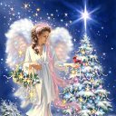 ���� �����, ������ - ��������� 12 ������� 2015 � ������ ����� ���������� ����������