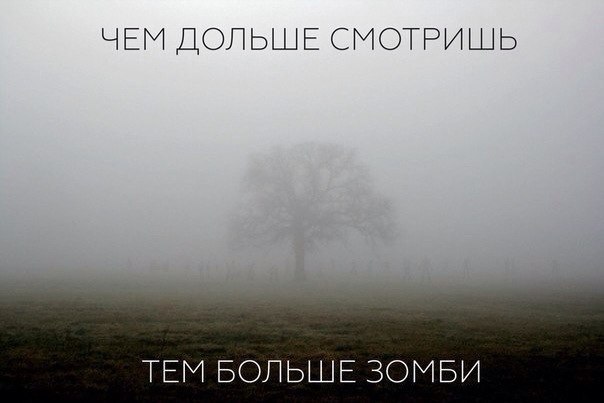   - 13  2015  11:02