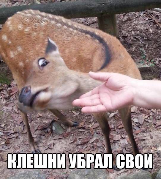 Art & Fun - 9  2015  08:08