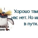  ******, , 53  -  5  2015   