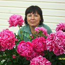 ���� �����, ����� - ��������� 3 ������� 2015 � ������ ���� ����������