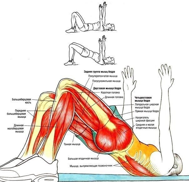   .  #@fitness.blog