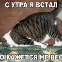 ���� ���������, ����, 46 ��� - ��������� 24 ������ 2015 � ������ �1�