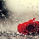 ���� �������, �������, 58 ��� - ��������� 27 �������� 2015 � ������ ������ ��������