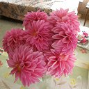 ���� �����, ����������, 59 ��� - ��������� 23 ������� 2016 � ������ ���� ������.�