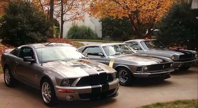 ,   . 1965 GT350, 1970 Boss 302  2008 Shelby GT500.    