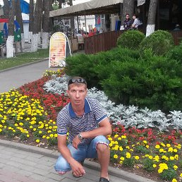 ���� ������, �������, 44 ���� - ��������� 2 ����� 2016