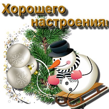 Тем, кто выжил в Новый год –.Уваженье и почёт! Кто салаты все доел, Мясо раз пять разогрел, Фляжки ...