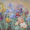 ����� �� ������� ���� ����������