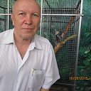 ���� ������, ������� - ��������� 25 ������ 2015 � ������ ���� ����������