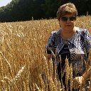 ���� ����, �������, 55 ��� - ��������� 24 ������� 2015 � ������ ���� ����������