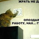 ���� ���������, ����������� - ��������� 22 ������� 2016 � ������ ���� ����������