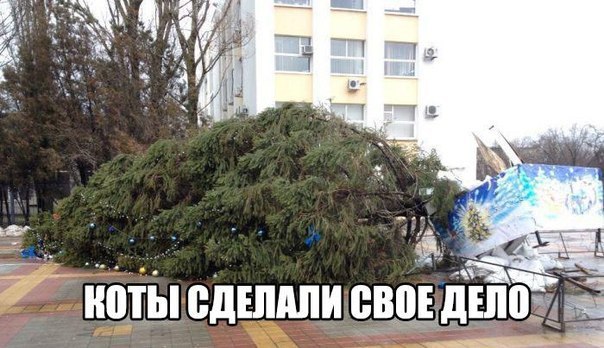  - 27  2015  12:19