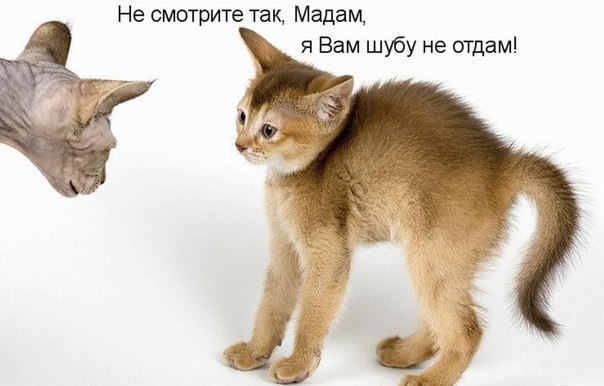    - 5  2016  04:14