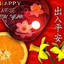 ���� �..., ������, 54 ���� - ��������� 8 ������� 2016 � ������ ������ ��������