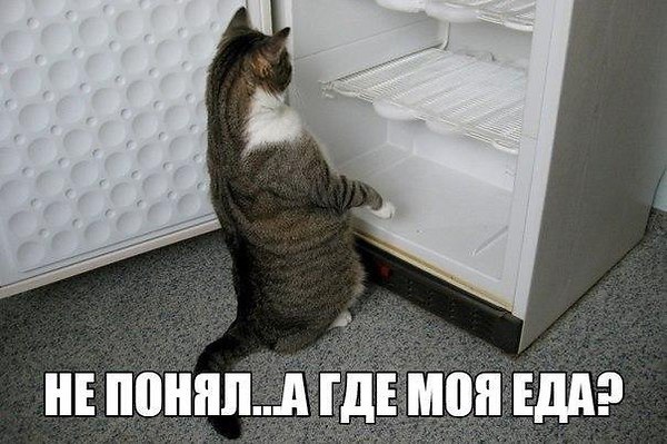    - ,      ,      , ... - 6
