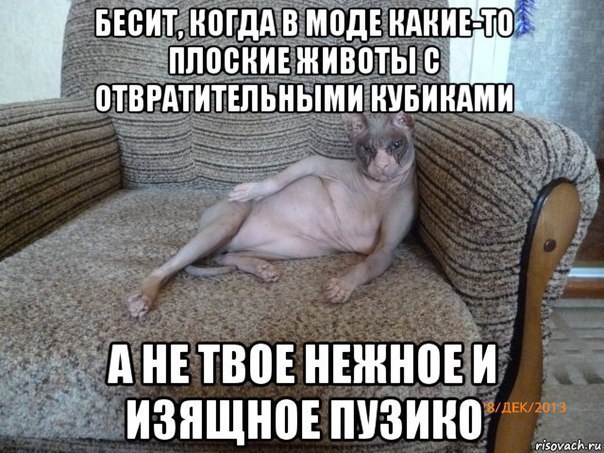       - 20  2016  02:31