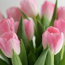 ���� ��������� ���������, ��������� - ��������� 24 ������� 2016 � ������ ���� ����������