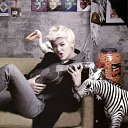 ���� Zelo, ���� - ��������� 7 ������ 2015 � ������ ���� ����������