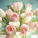 ���� ��������� ���������, ��������� - ��������� 5 ����� 2016 � ������ ���� ����������