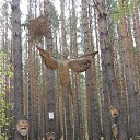 ���� ����, �������, 62 ���� - ��������� 8 ������� 2015 � ������ ���� ����������