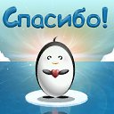  ,  -  1  2015    