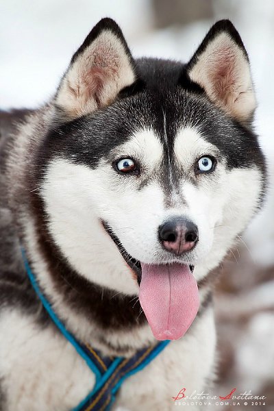 ������ ������ - 28 �������� 2015 � 21:05