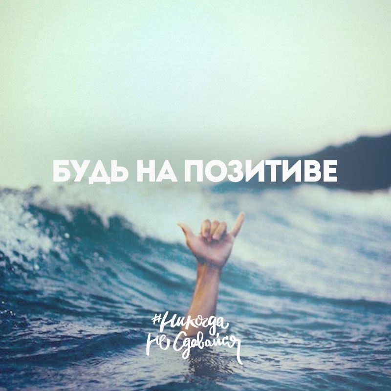  -   - 16  2015  08:30