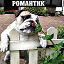���� ����, ������, 56 ��� - ��������� 24 ������� 2016 � ������ ������ ��������