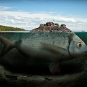 ���� �����, ������, 54 ���� - ��������� 24 ������� 2015 � ������ ������ ��������