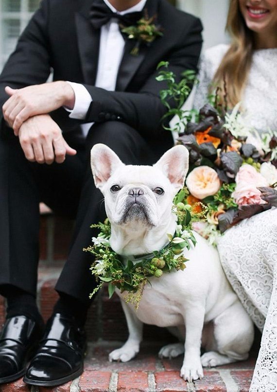     ! #wedding_decor@https://fotostrana.ru/away?to=/sl/XE2 - 5