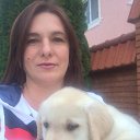 ���� ����, �������, 45 ��� - ��������� 18 ������� 2015 � ������ ���� ����������