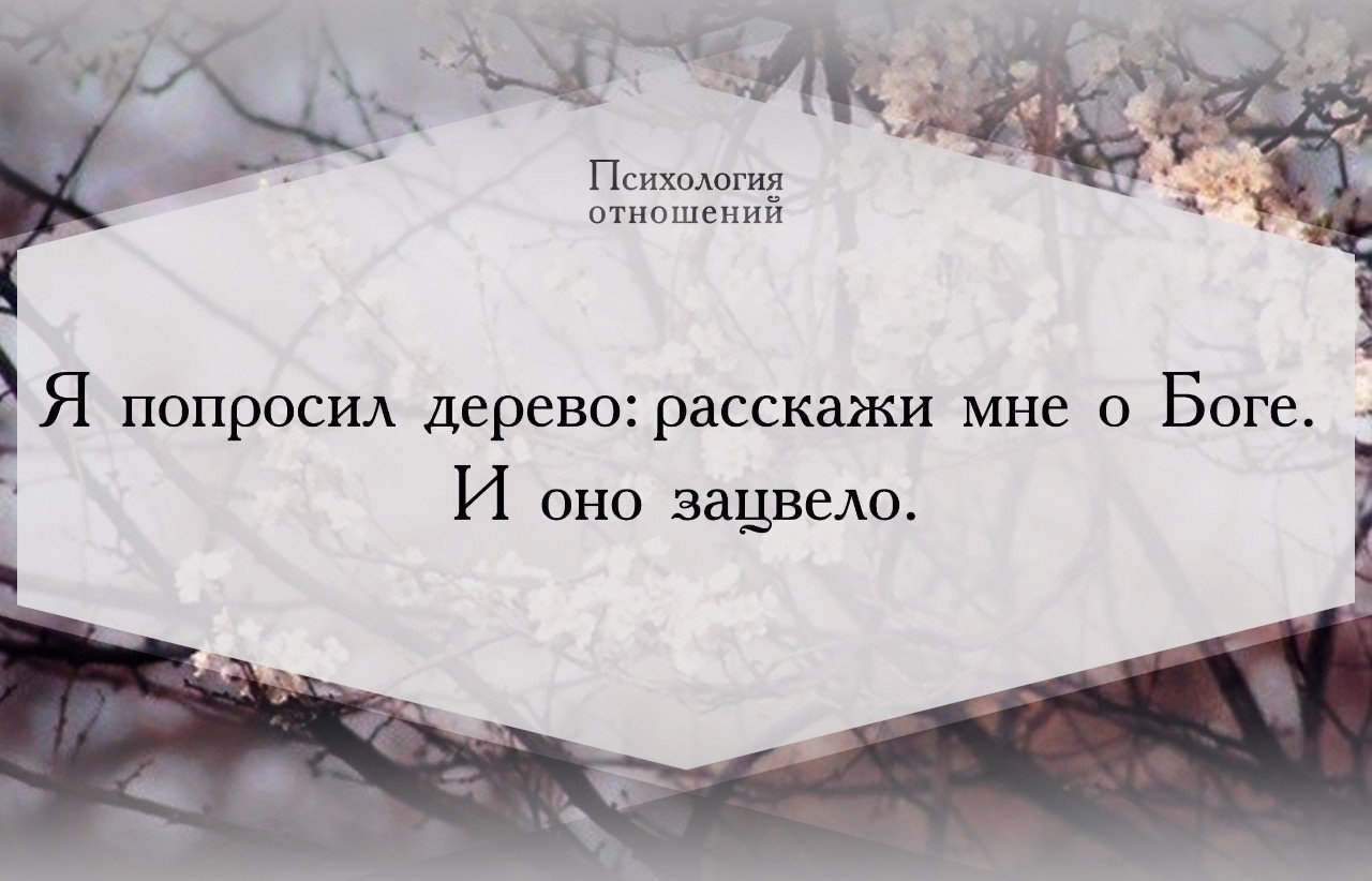 Я прошу расскажи мне о любви. Я попросил дерево расскажи мне о Боге и оно зацвело. Я попросил дерево расскажи мне о Боге и оно. Я попросил дерево рассказать мне о Боге и оно расцвело. Я попросил у дерева рассказать мне о Боге.