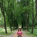 ���� ����, ����� - ��������� 25 ������� 2015 � ������ ���� ����������