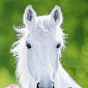 ���� Aleks, ����� ������� - ��������� 12 ������� 2015 � ������ �HORSES�